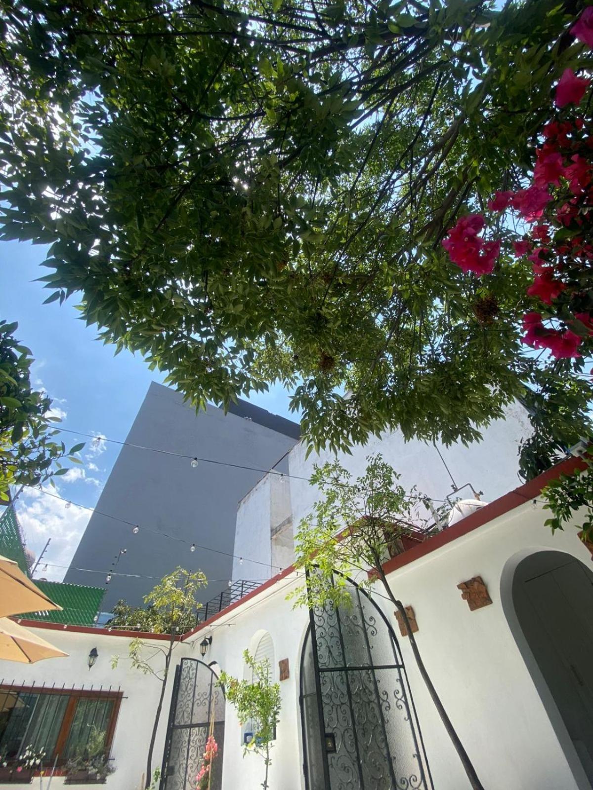 Nokal Exclusive Stay Mexico By Eksteriør billede